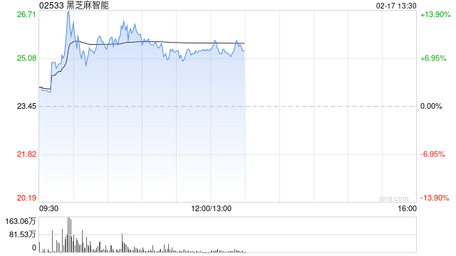 黑芝麻智能盘中涨近14% 公司与比亚迪是长期战略合作关系